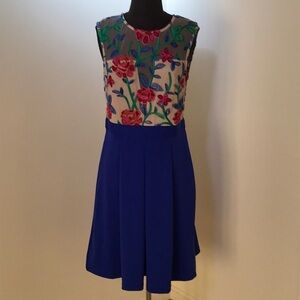 NWT! ACEVOG Size M blue embroidered pleated dress